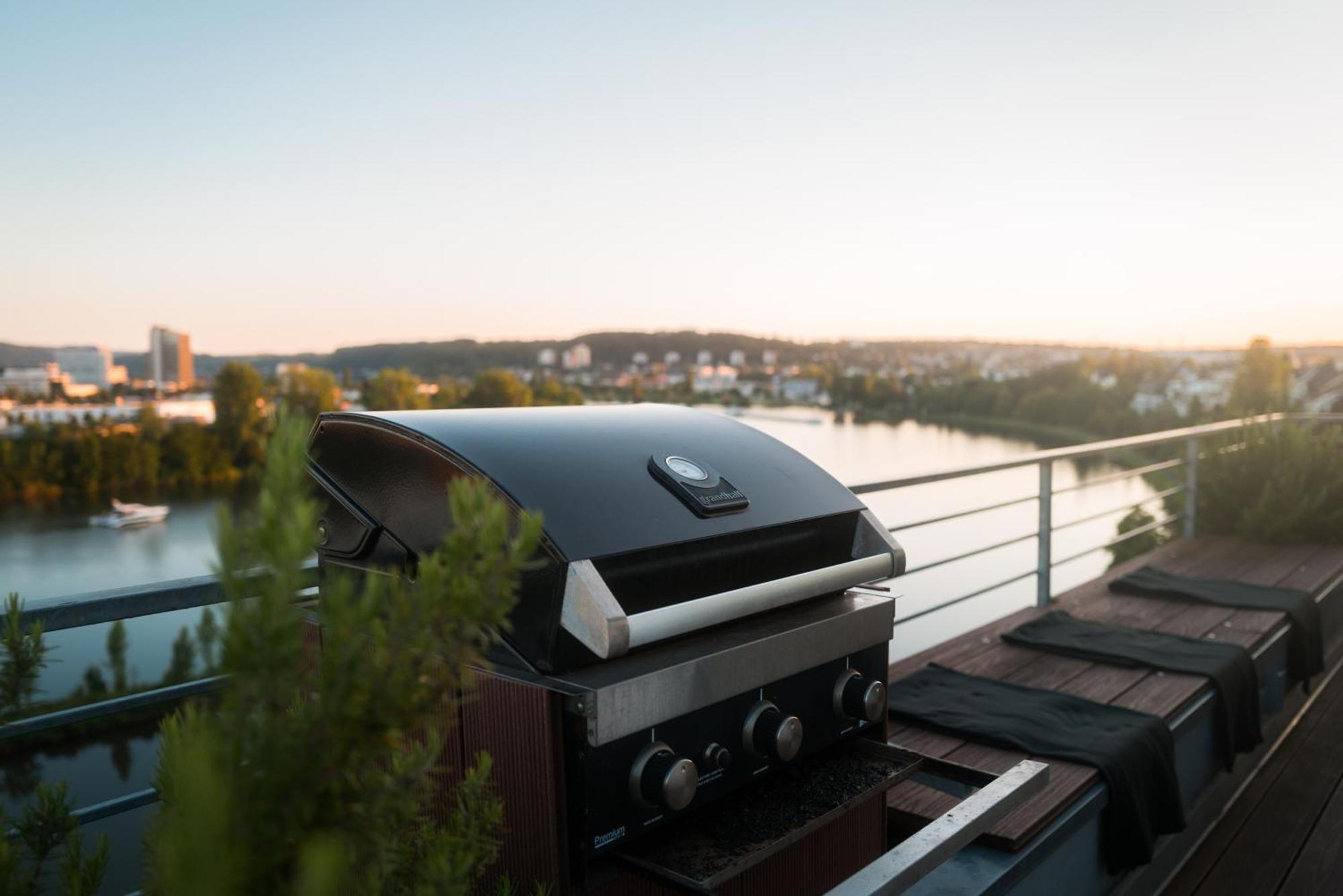 Penthouse Mit Schoenem Moselblick In Metternich * Koblenz (Rhineland-Palatinate)